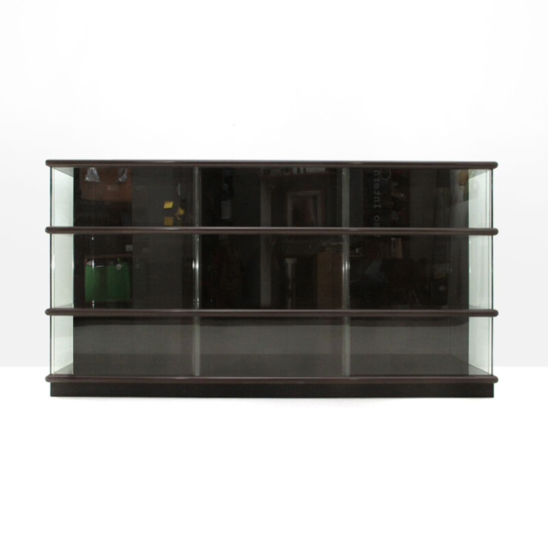 Vintage bookcase in lacquered wood and glass by Eugenio Gerli for Tecno 1970