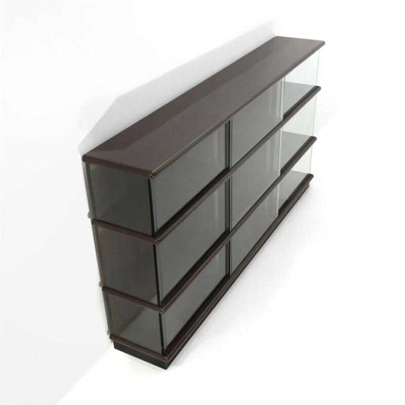 Vintage bookcase in lacquered wood and glass by Eugenio Gerli for Tecno 1970