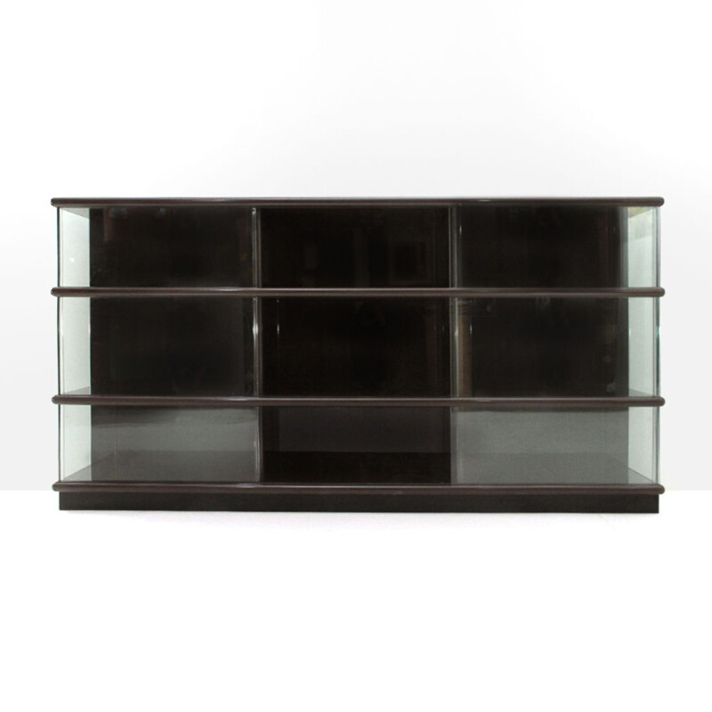 Vintage bookcase in lacquered wood and glass by Eugenio Gerli for Tecno 1970
