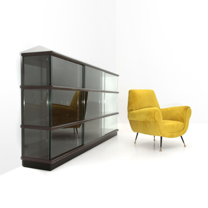 Vintage bookcase in lacquered wood and glass by Eugenio Gerli for Tecno 1970