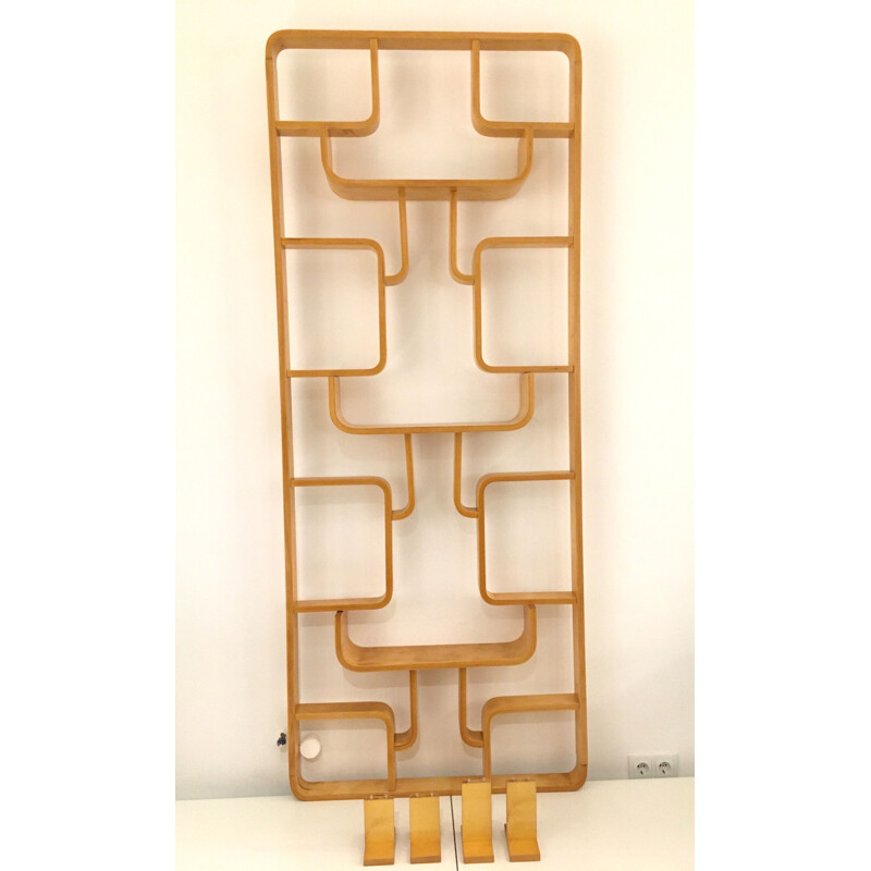 Vintage Room Divider Wall Unit by Ludvik Volak for Drevopodnik Holesov 1960s