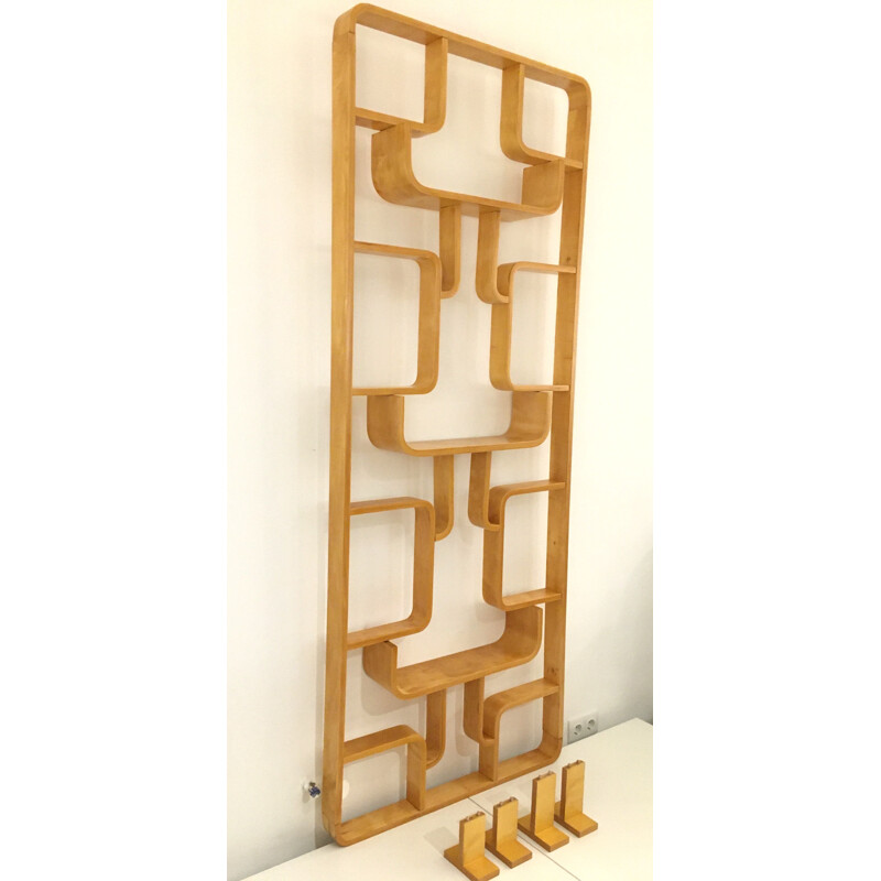 Vintage Room Divider Wall Unit by Ludvik Volak for Drevopodnik Holesov 1960s