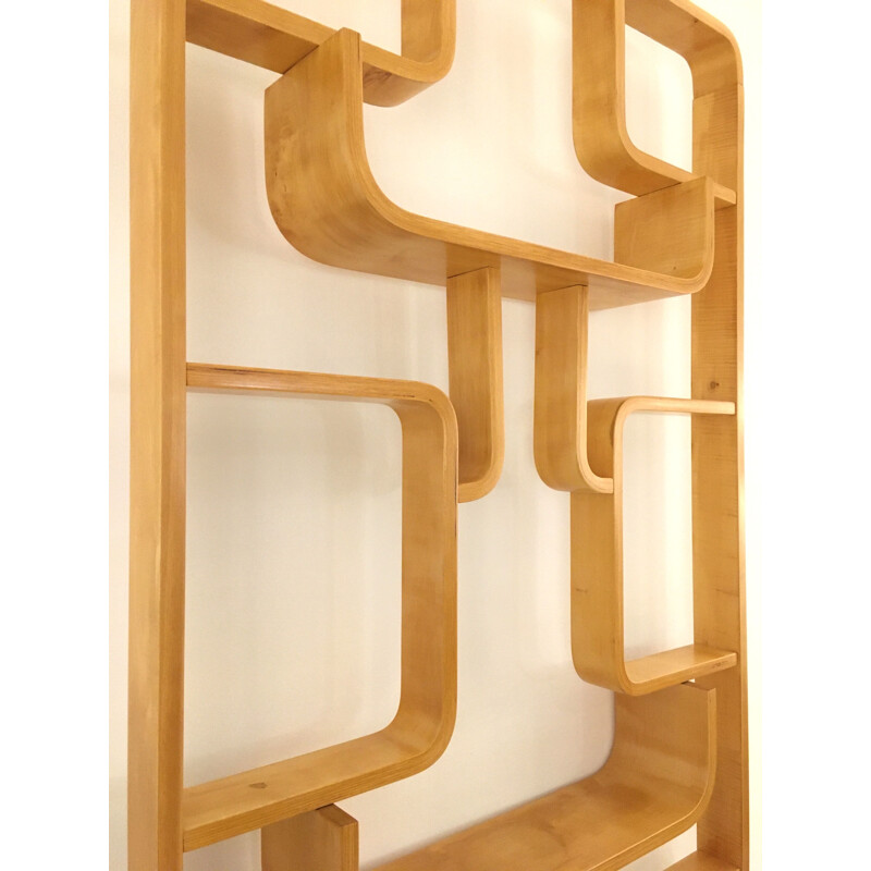 Vintage Room Divider Wall Unit by Ludvik Volak for Drevopodnik Holesov 1960s