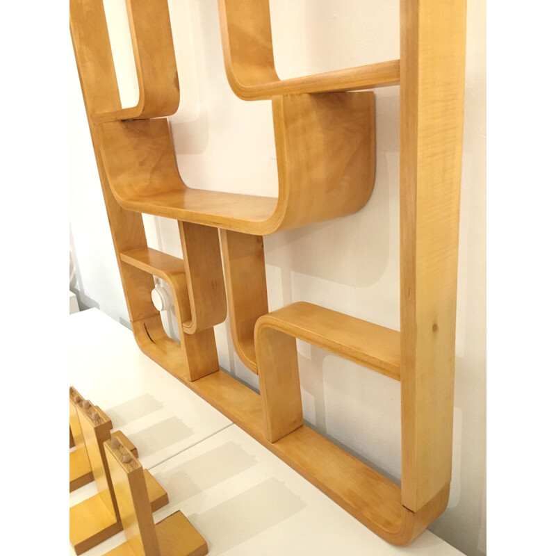 Vintage Room Divider Wall Unit by Ludvik Volak for Drevopodnik Holesov 1960s