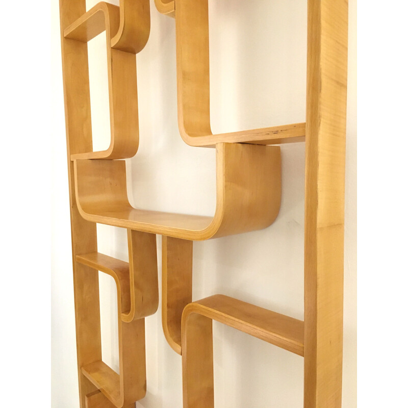 Vintage Room Divider Wall Unit by Ludvik Volak for Drevopodnik Holesov 1960s