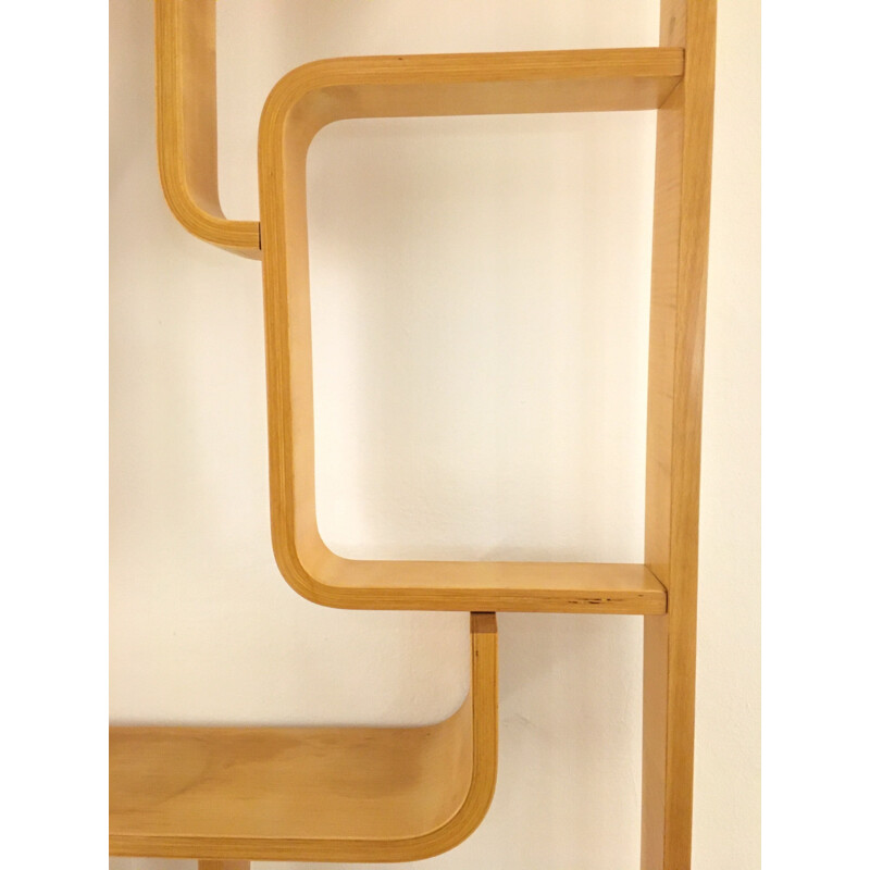 Vintage Room Divider Wall Unit by Ludvik Volak for Drevopodnik Holesov 1960s