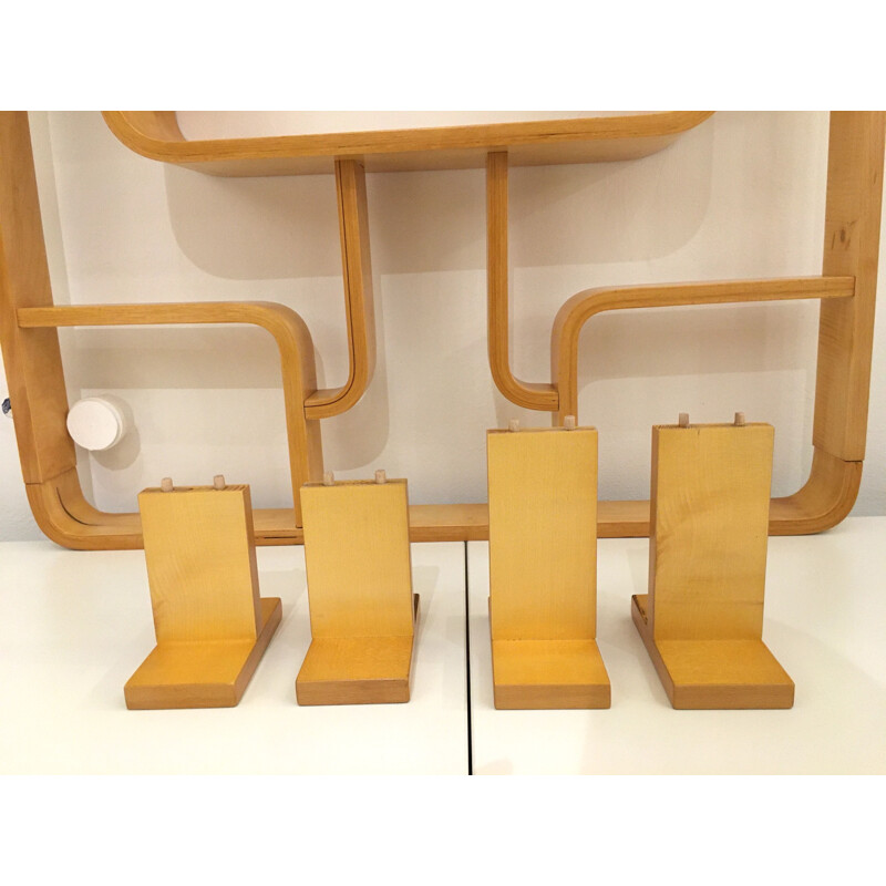 Vintage Room Divider Wall Unit by Ludvik Volak for Drevopodnik Holesov 1960s