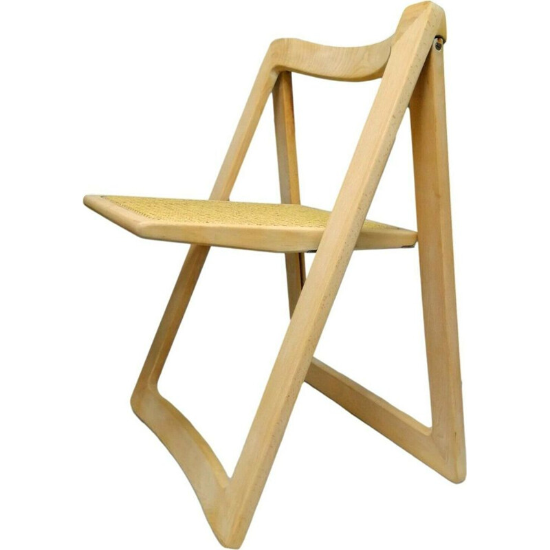 Vintage "Trieste" chair by Pierangela d'Aniello and Aldo Jacober for Bazzani 1966