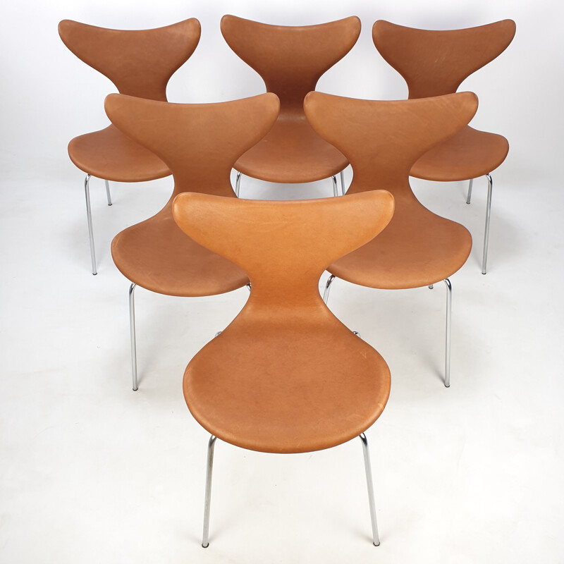 Ensemble de 6 chaises vintage Lily par Arne Jacobsen pour Fritz Hansen, 1960