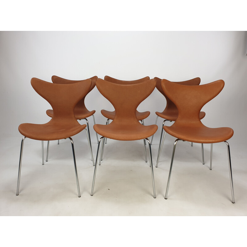 Conjunto de 6 cadeiras de lírio vintage de Arne Jacobsen para Fritz Hansen, 1960