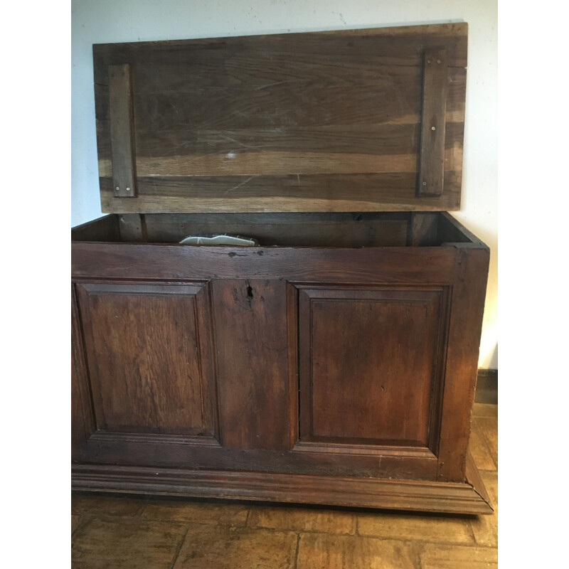 Vintage rustic oak chest