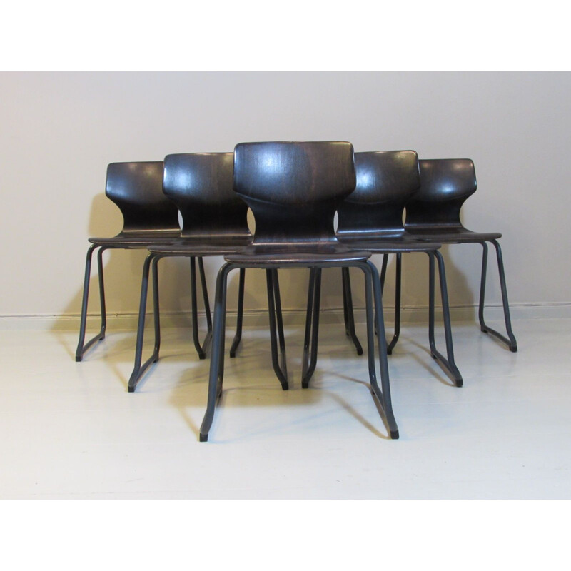 Set of 6 vintage Pagholz chairs by Adam Stegner for Flötotto 1960s