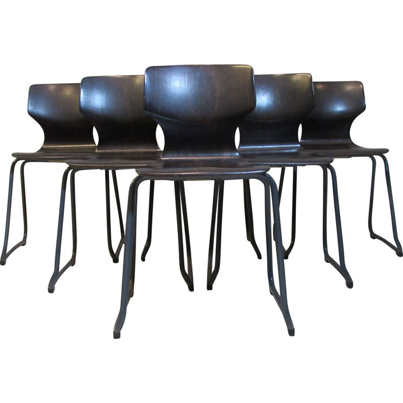 Suite de 6 chaises vintage Pagholz par Adam Stegner pour Flötotto 1960