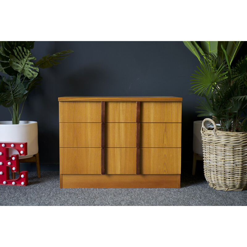 Vintage Teak Unit Set of Drawers by E Gomme for G Plan