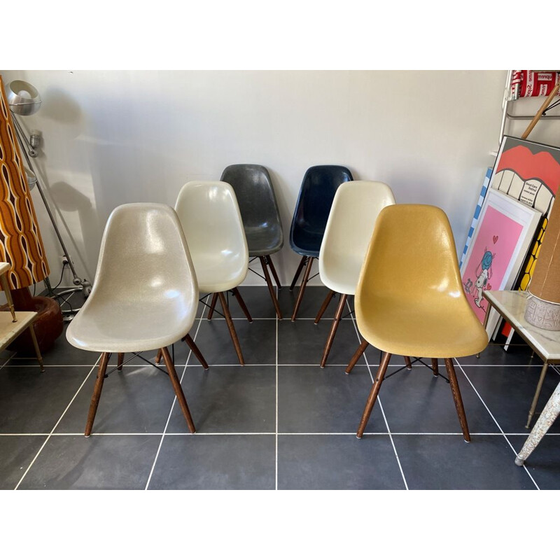 Set of 6 vintage Herman Miller "DSW" walnut grey navy blue eames chairs by Charles & Ray Eames 1950s