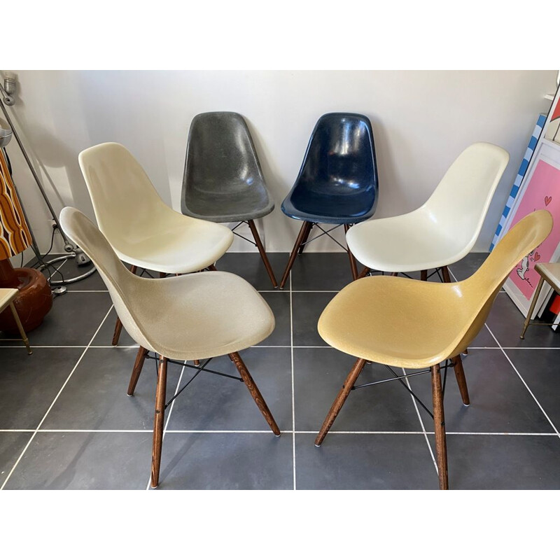 Set of 6 vintage Herman Miller "DSW" walnut grey navy blue eames chairs by Charles & Ray Eames 1950s