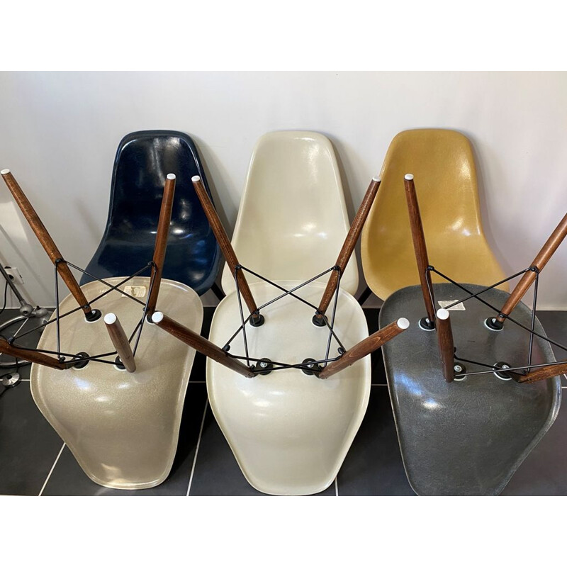 Set of 6 vintage Herman Miller "DSW" walnut grey navy blue eames chairs by Charles & Ray Eames 1950s