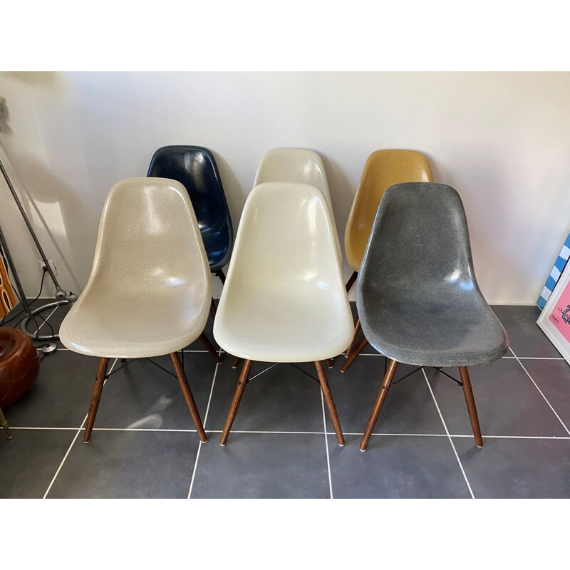 Set of 6 vintage Herman Miller "DSW" walnut grey navy blue eames chairs by Charles & Ray Eames 1950s