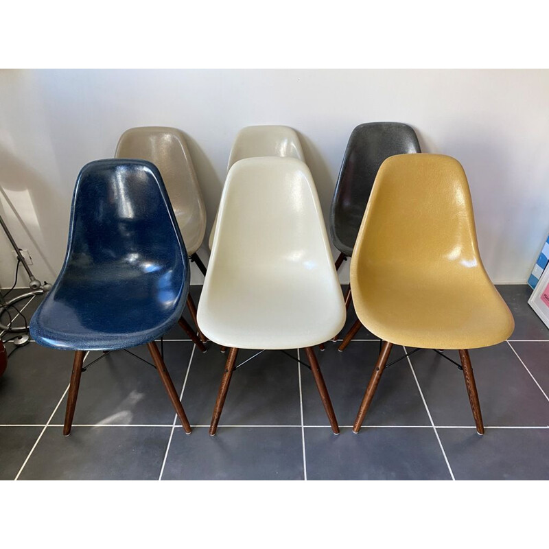 Set of 6 vintage Herman Miller "DSW" walnut grey navy blue eames chairs by Charles & Ray Eames 1950s