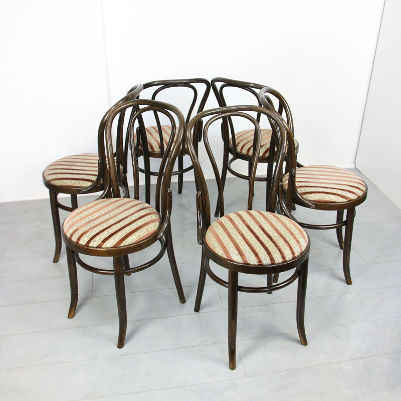 Coppia di sedie da pranzo Thonet vintage