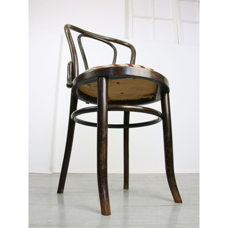 Coppia di sedie da pranzo Thonet vintage