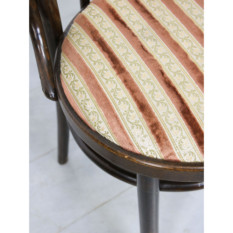 Coppia di sedie da pranzo Thonet vintage