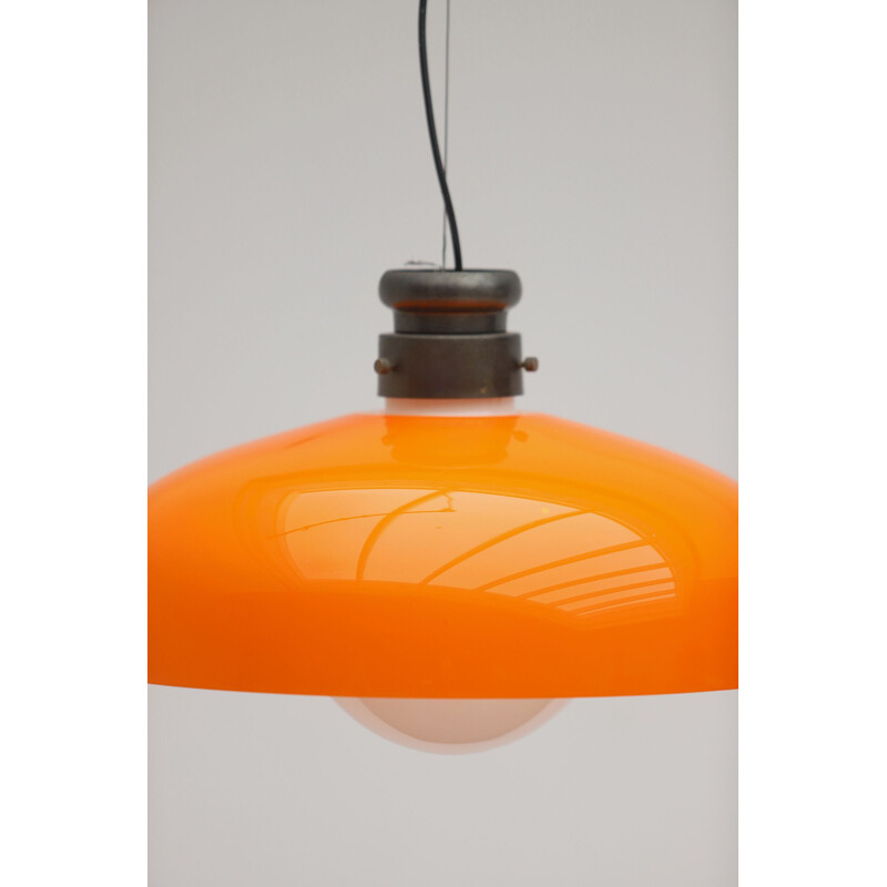 Vintage Pendant Lamp by Alessandro Pianon for Vistosi 1956s