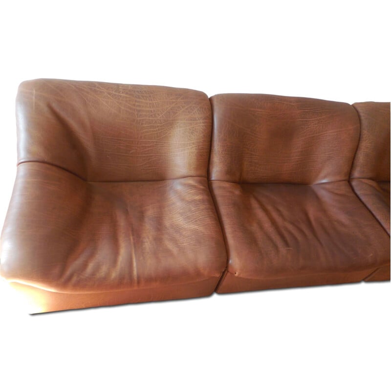Vintage de Sede DS-46 bull neck leather sectional sofa 1970s