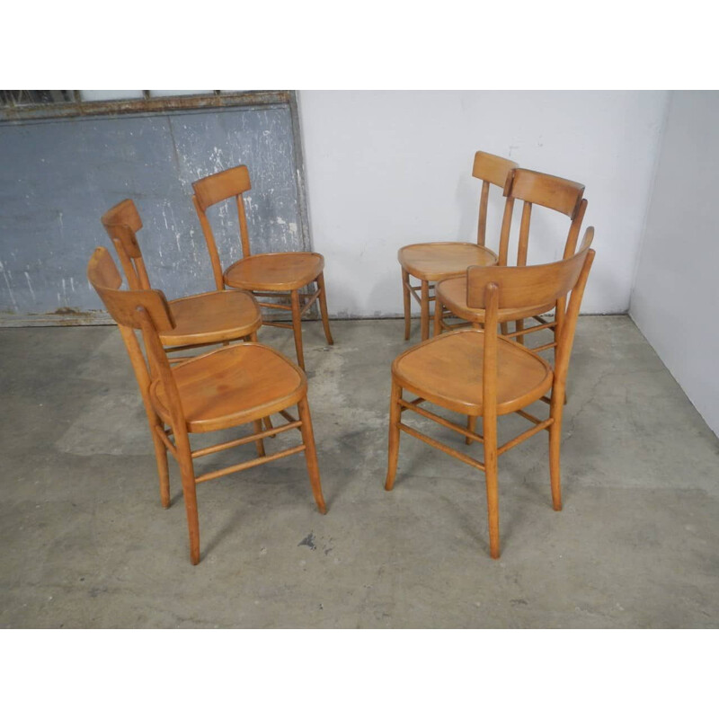 Set of vintage chairs in beech 1950s