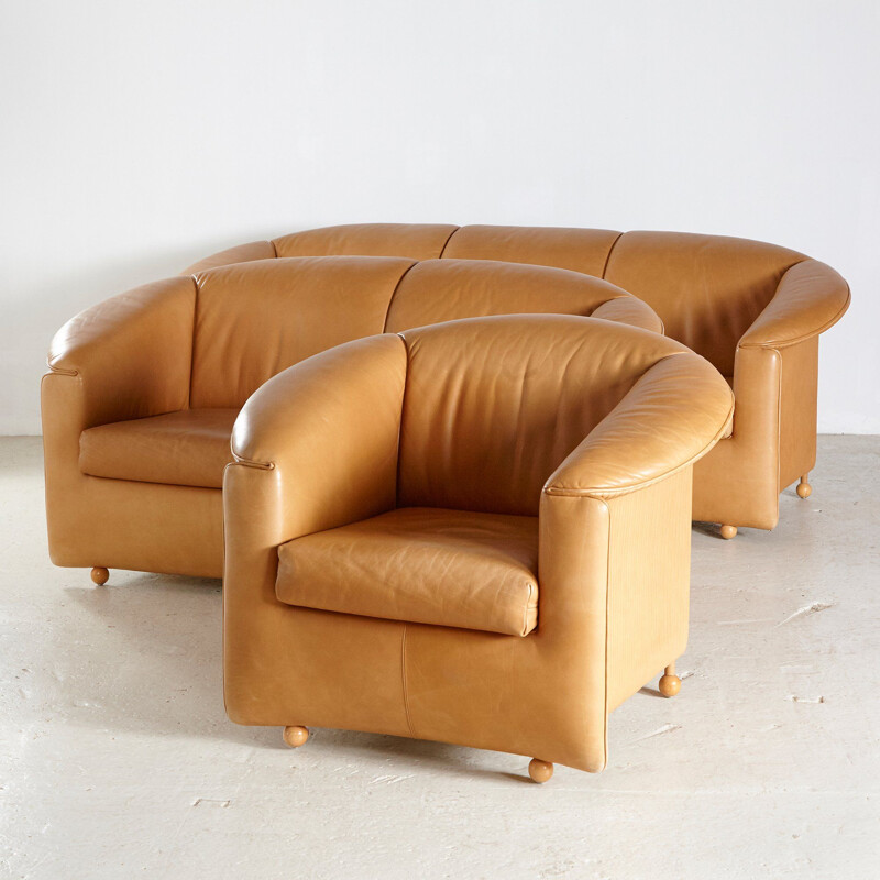Set of 3 vintage Leather Sofa by Karl Wittmann
