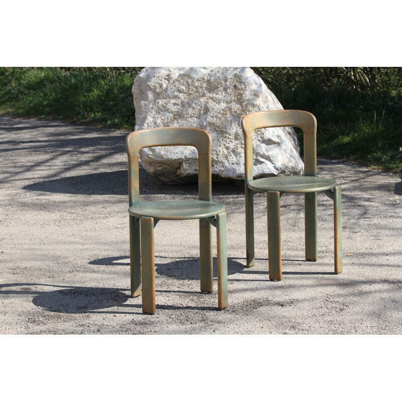 Pair of vintage chairs by Bruno Rey for Dietiker