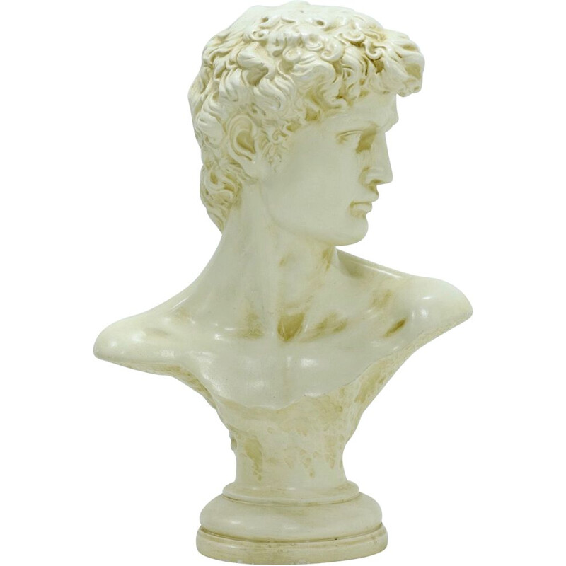 Large vintage Decorative Plaster Bust from Michelangelo's David 1980s