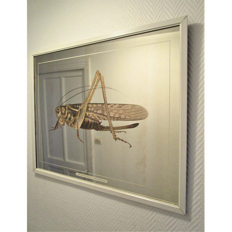 Vintage mirror with grasshopper Bernard Durin 1970s