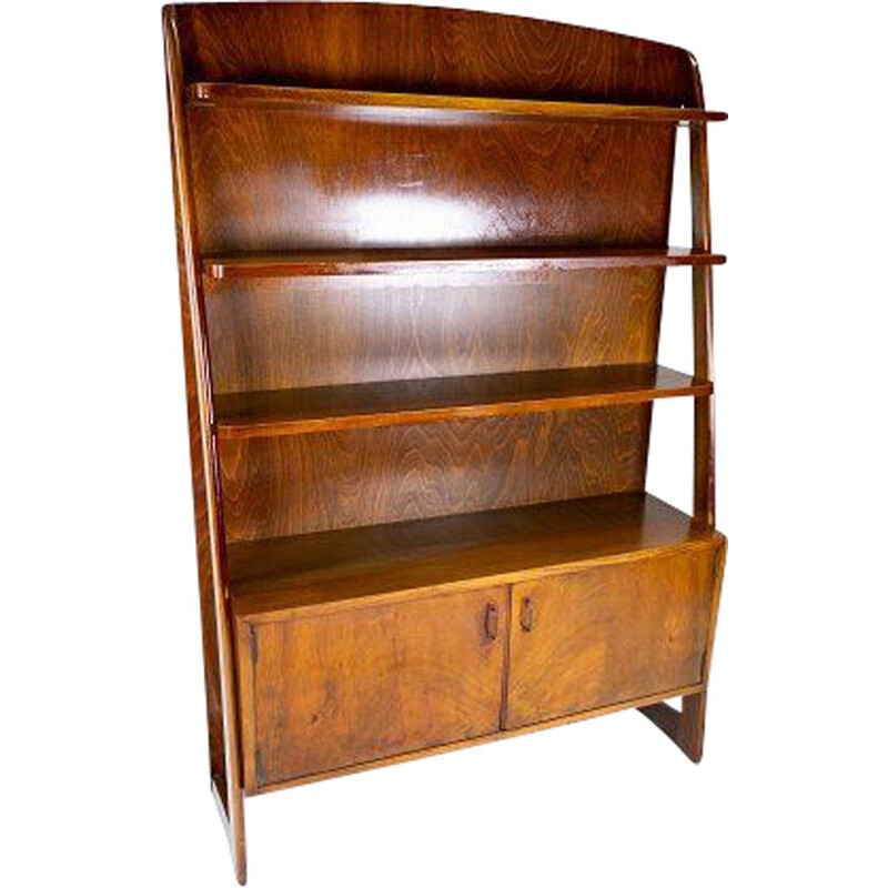 Vintage Bookcase with walnut cabinet beneath, Danish 1950s