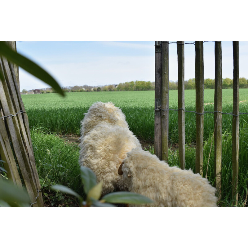 Pair of vintage Wool Sheeps Sculpture by Hans-Peter Krafft for Meier Germany