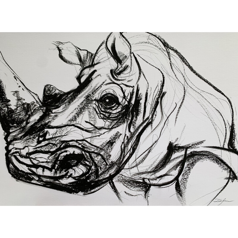 Rhino with vintage grease pencil by Sonia Lalic, 2018