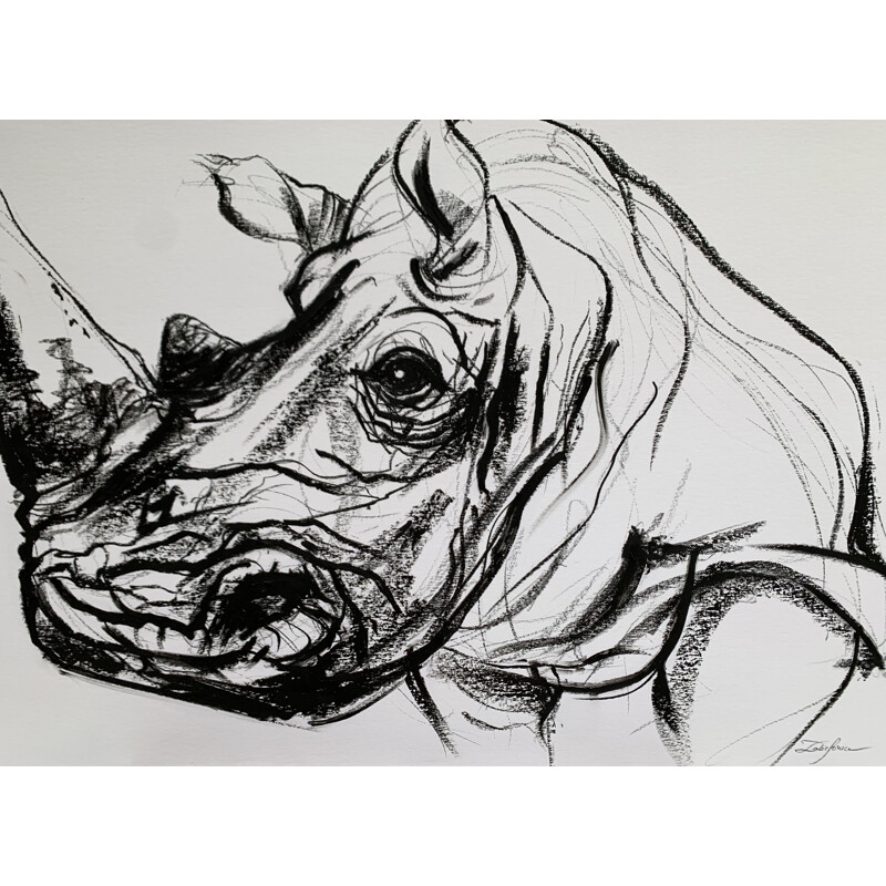 Rinoceronte com lápis de graxa vintage por Sonia Lalic, 2018
