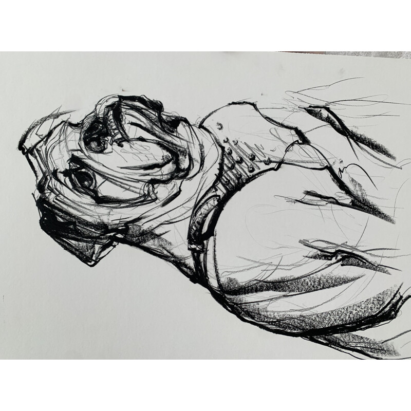 Bulldog in vintage grease pencil by Sonia Lalic, 2018