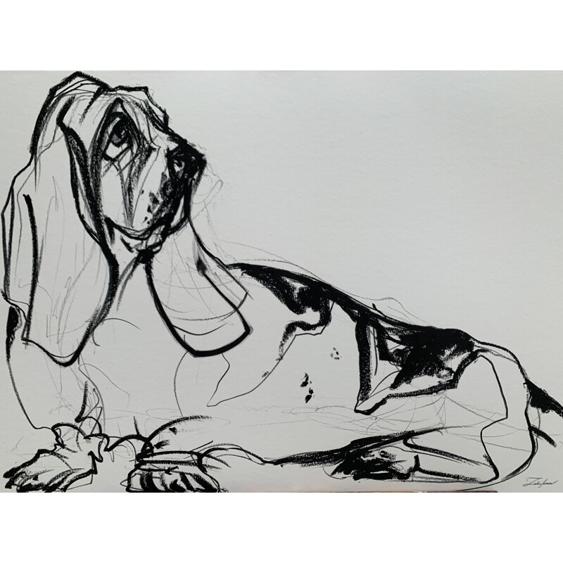 Basset hound con matita grassa vintage di Sonia Lalic, 2018