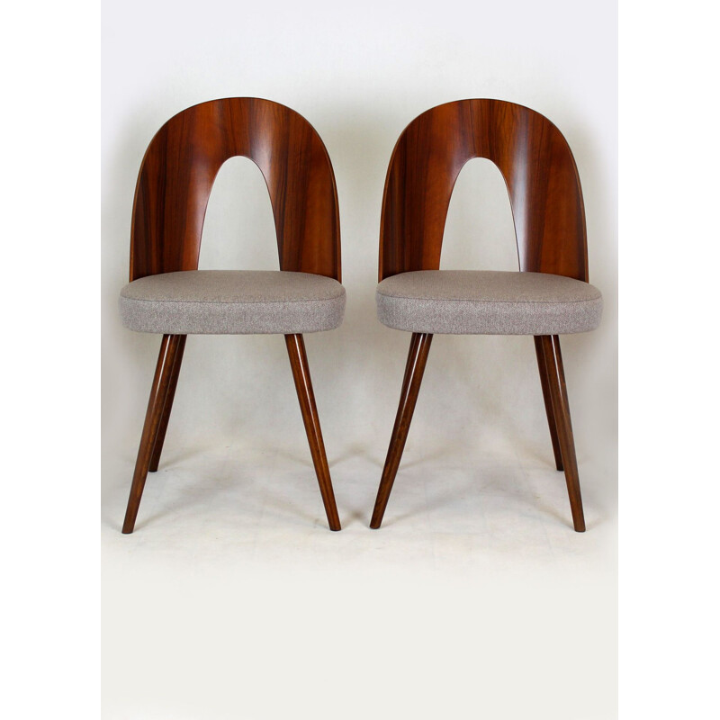 Paire de chaises vintage par Antonin Suman 1960