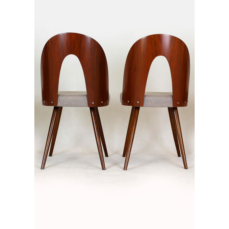 Pair of vintage chairs by Antonin Suman 1960