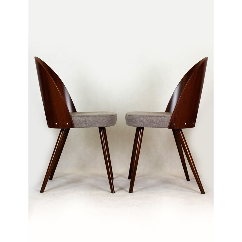 Pair of vintage chairs by Antonin Suman 1960