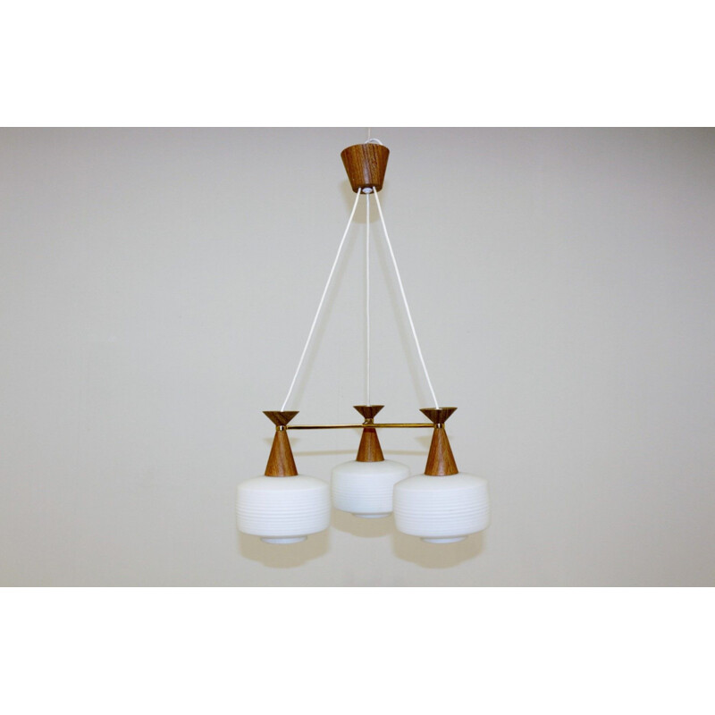 Vintage teak hanging lamp Sweden 1950s