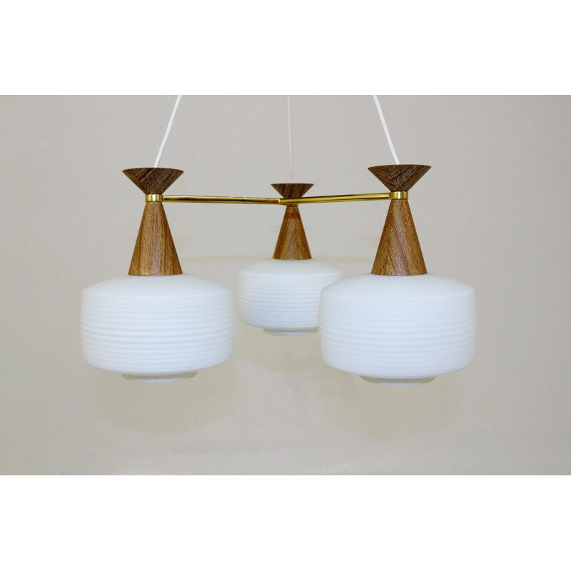 Vintage teak hanging lamp Sweden 1950s