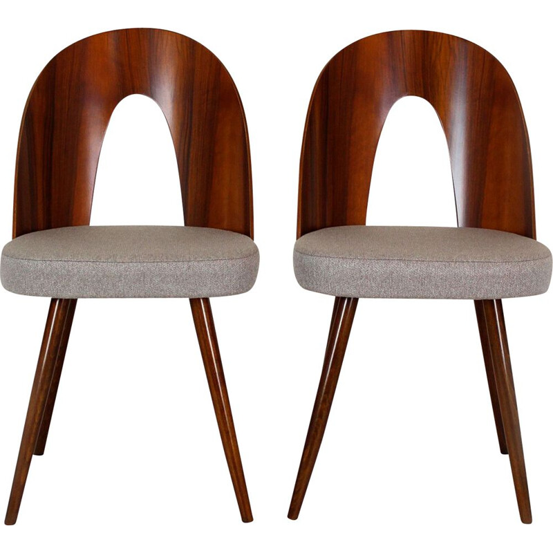 Pair of vintage chairs by Antonin Suman 1960