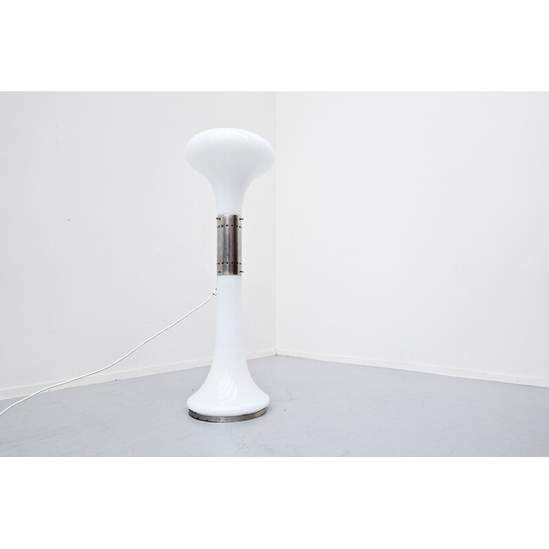 Vintage floor lamp by Carlo Nason