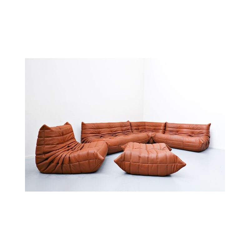 Canapé vintage en cuir de Michel Ducaroy