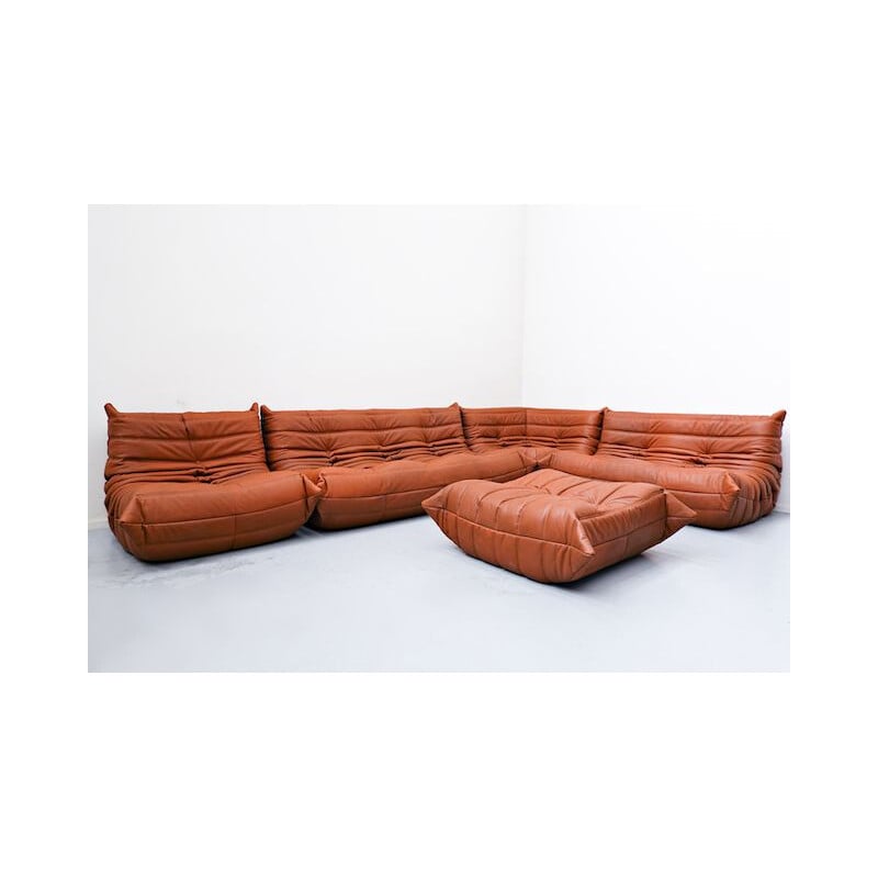 Canapé vintage en cuir de Michel Ducaroy