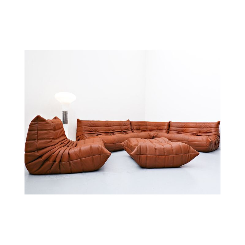 Vintage leather sofa by Michel Ducaroy