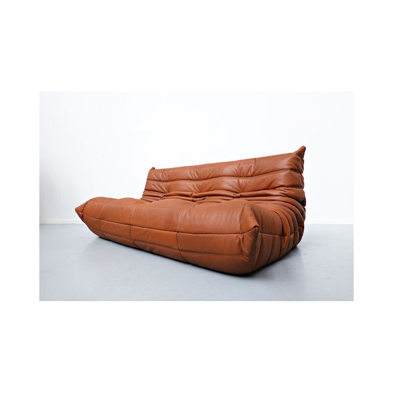 Vintage leather sofa by Michel Ducaroy